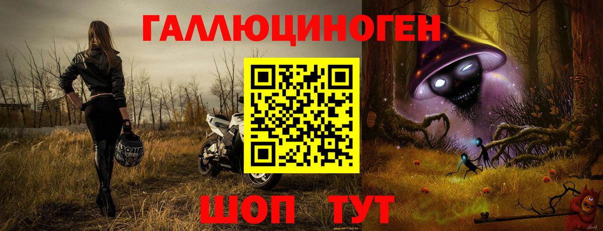 Псилоцибиновые грибы Psilocybe  закладка  Знаменск  Вход с VPN 