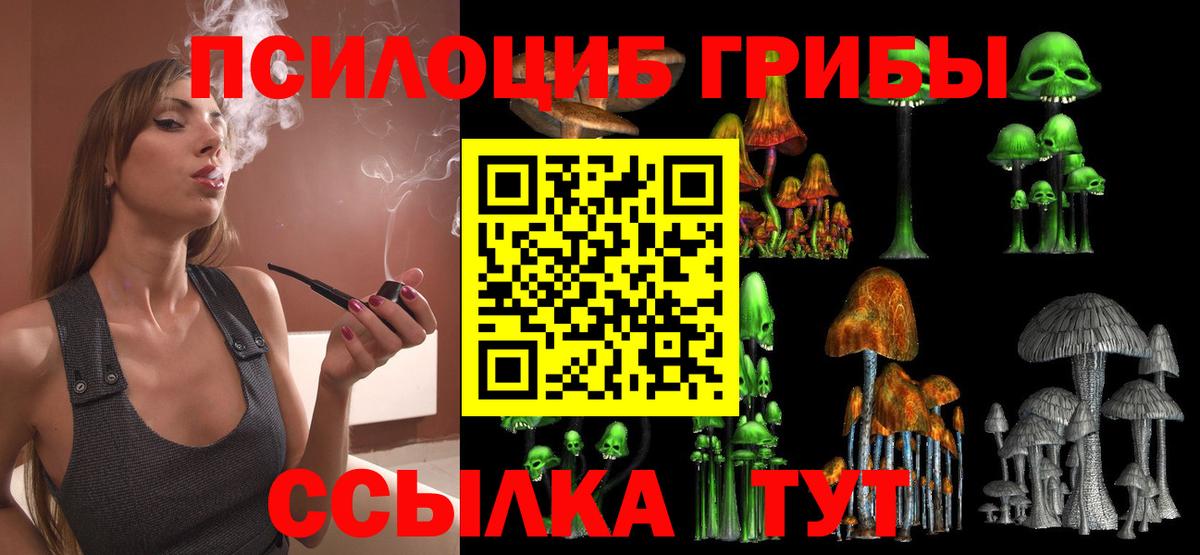 Псилоцибиновые грибы MAGIC MUSHROOMS Знаменск